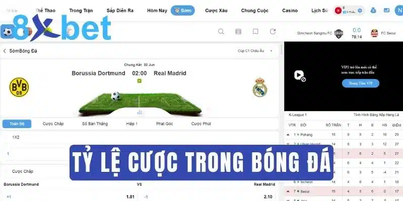 Tỷ lệ cược bóng đá là gì? Tìm hiểu chi tiết về tỷ lệ kèo cược Tìm hiểu thuật ngữ tỷ lệ cược bóng đá là gì