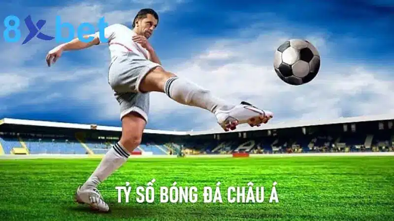 Tỷ số bóng đá châu Á: Cập nhật nhanh chóng, chính xác Tỷ số bóng đá châu Á được nhiều người quan tâm