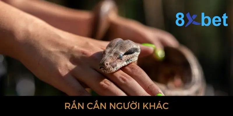 Giải mã giấc mơ thấy rắn: Bí ẩn và điềm báo gì? Nằm mơ thấy con rắn cắn người khác