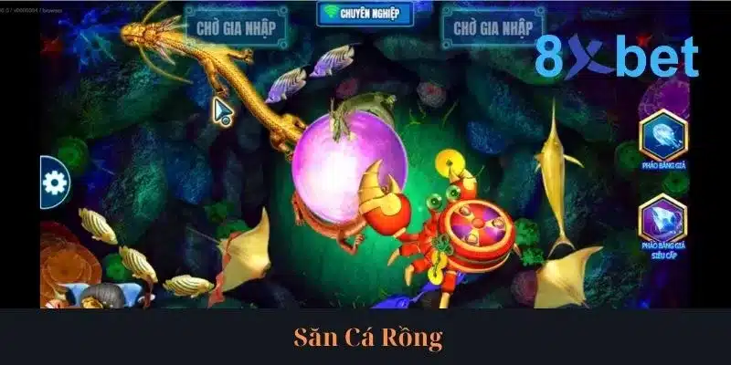 Cẩm Nang Săn Cá Rồng Rinh Về Thưởng Lớn Từ Cao Thủ Cẩm Nang Săn Cá Rồng Rinh Về Thưởng Lớn Từ Cao Thủ