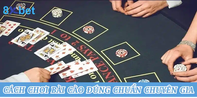 Cập nhật chi tiết cách chơi bài cào chuẩn xác nhất tại 8xbet Cách chơi bài cào đúng chuẩn chuyên gia