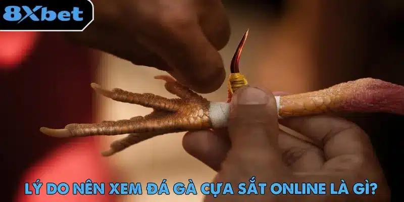 Đá Gà Cựa Sắt – Màn Giải Trí Gay Cấn Không Thể Bỏ Lỡ 8xbet bảo trải nghiệm xem đá gà cựa sắt và đặt cược không gián đoạn