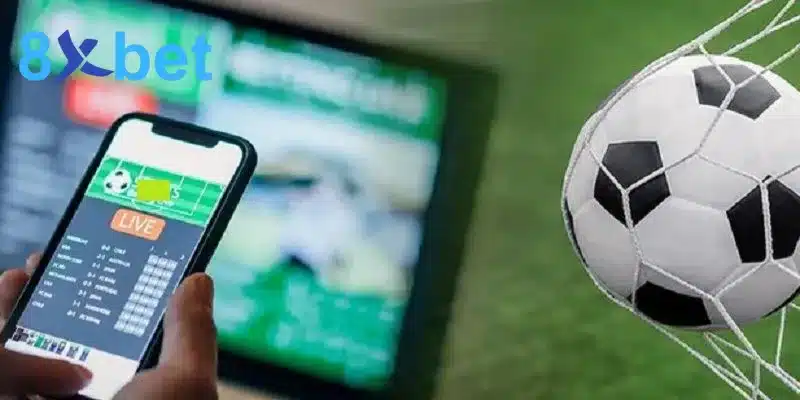 Mẹo Tham Gia Đặt Cược Bóng Đá Tăng Cơ Hội Thắng Tại 8XBET Áp dụng linh hoạt các nhận định cược từ chuyên gia